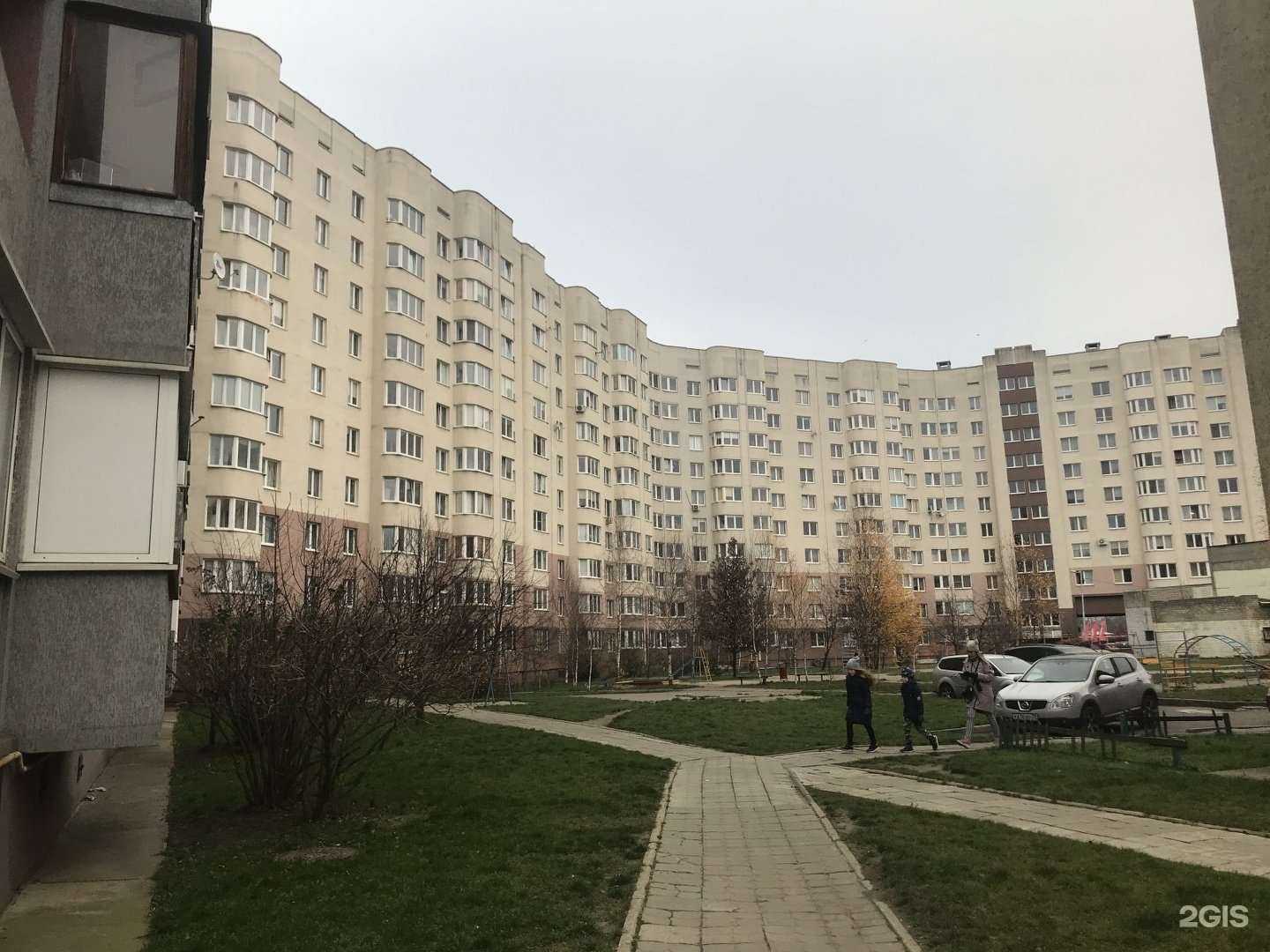 Отзывы на компанию Стоматолог в Калининграде c фото - фотография 2 из 2