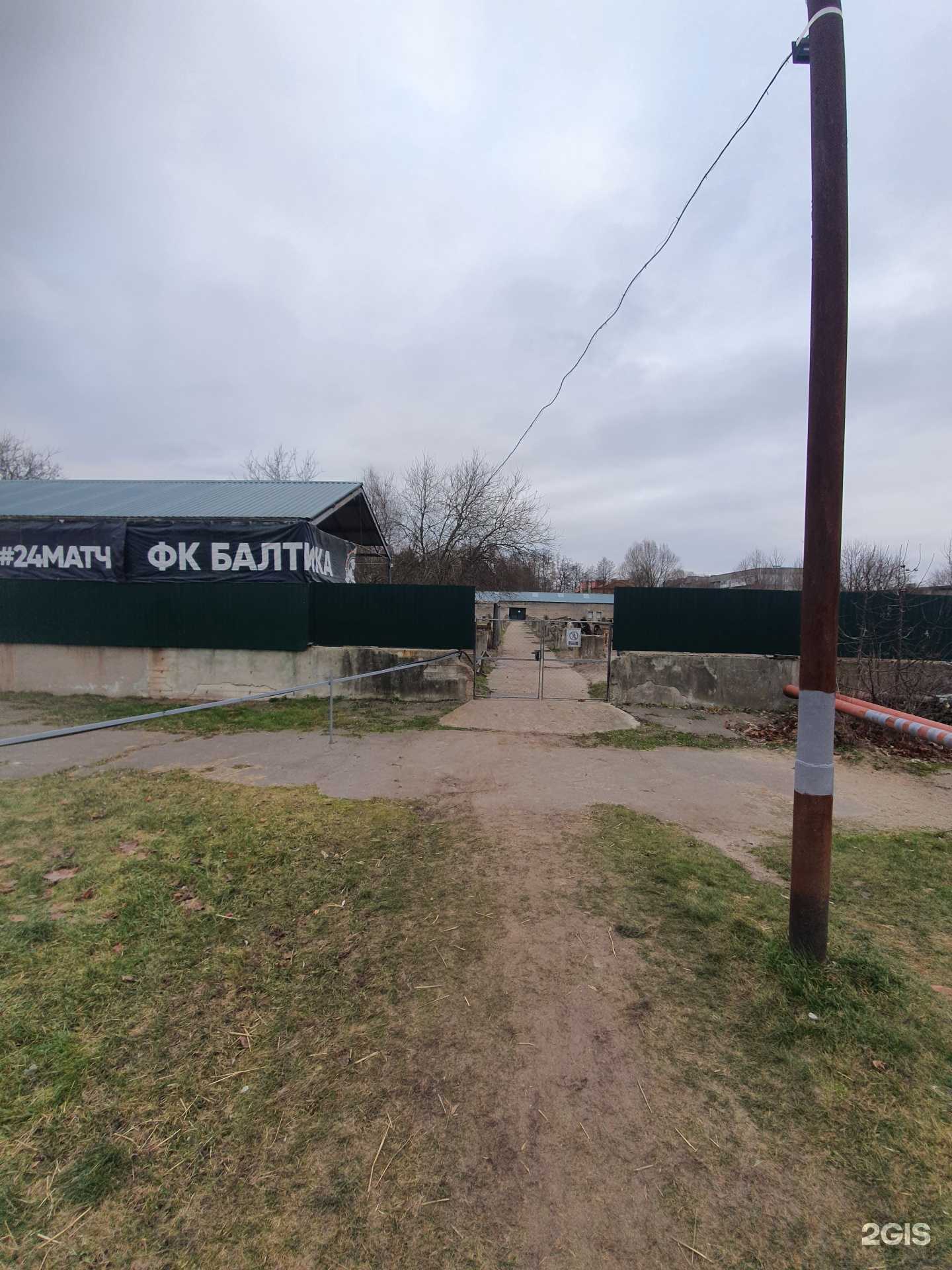 Отзывы на компанию Центр для безнадзорных животных в Калининграде c фото