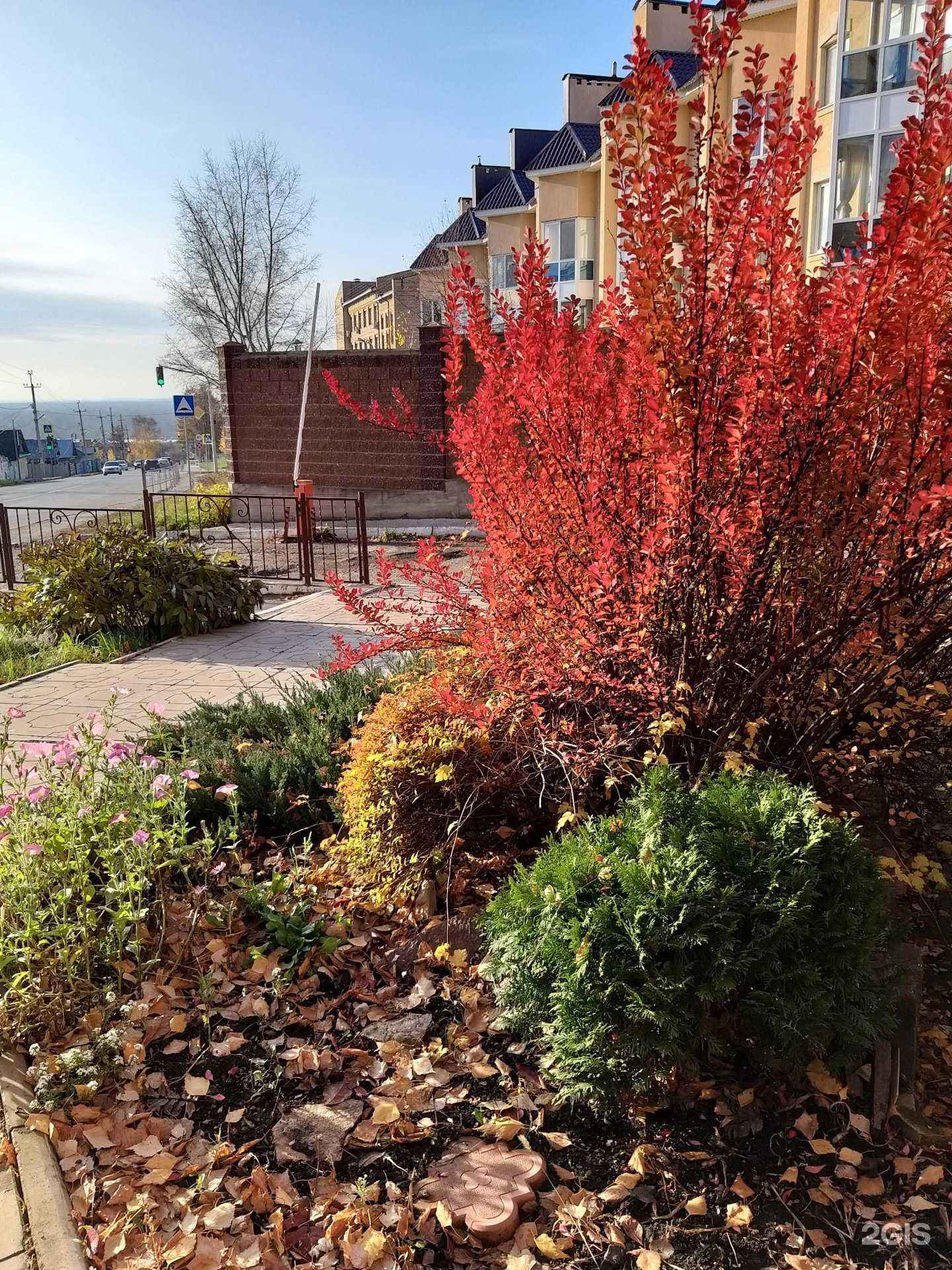 Отзывы на компанию Вивьен в Уфе c фото