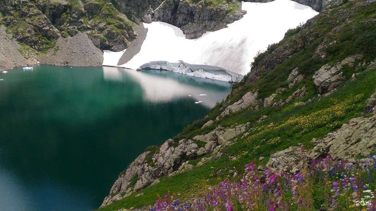 Отзывы на компанию Атлас Алтая в г. Барнаул c фото