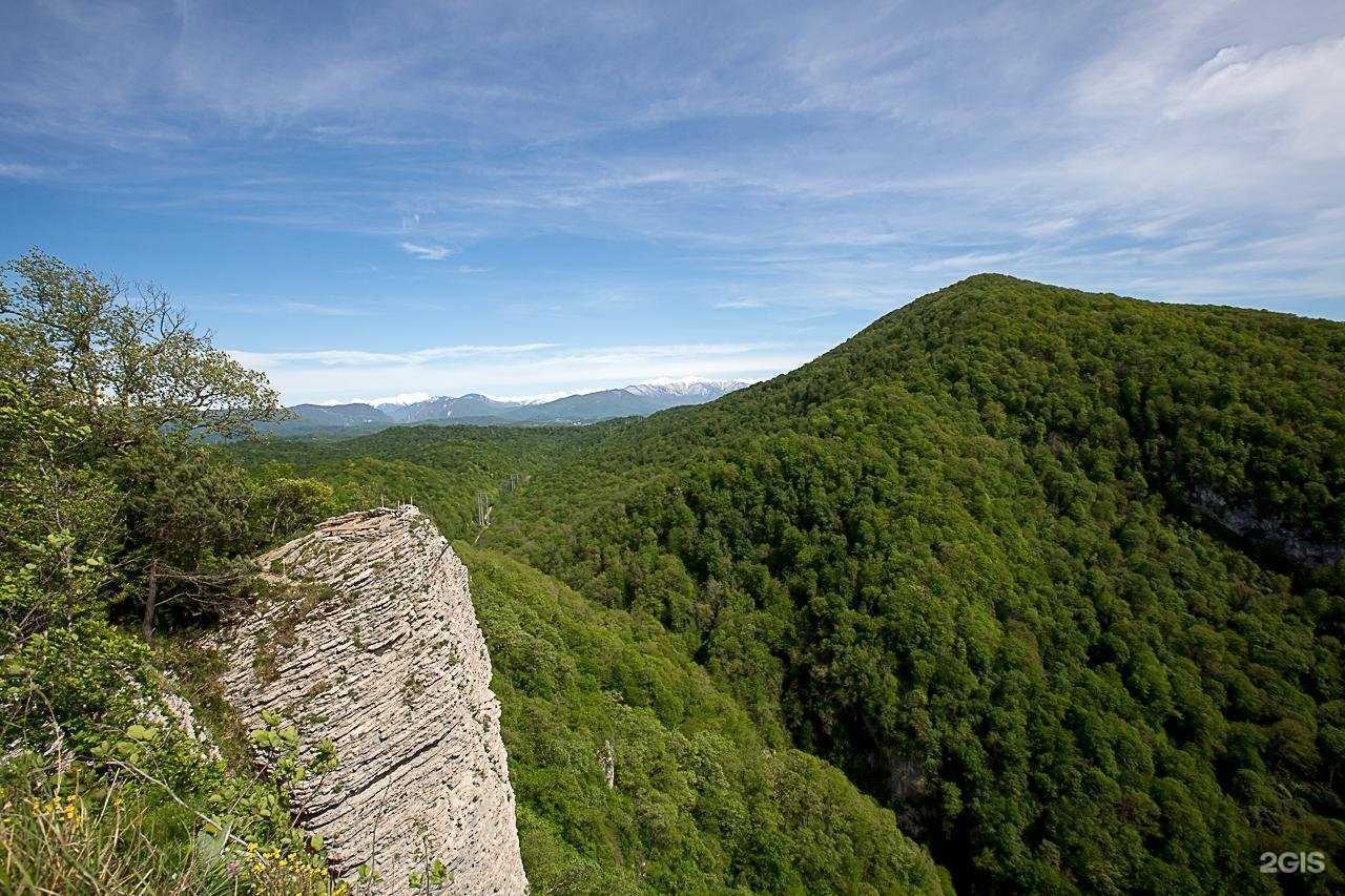 Отзывы на компанию Орлиные скалы в г. Сочи c фото