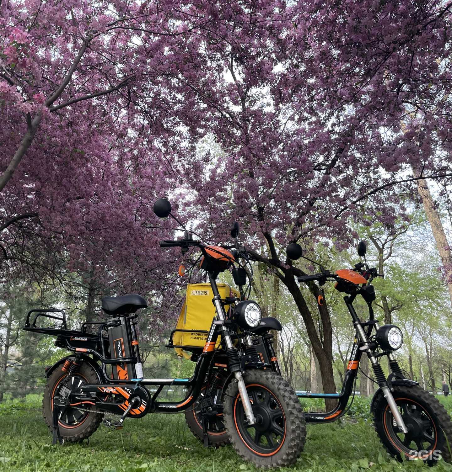 Отзывы на компанию BikeOnur в Ростове-на-Дону c фото