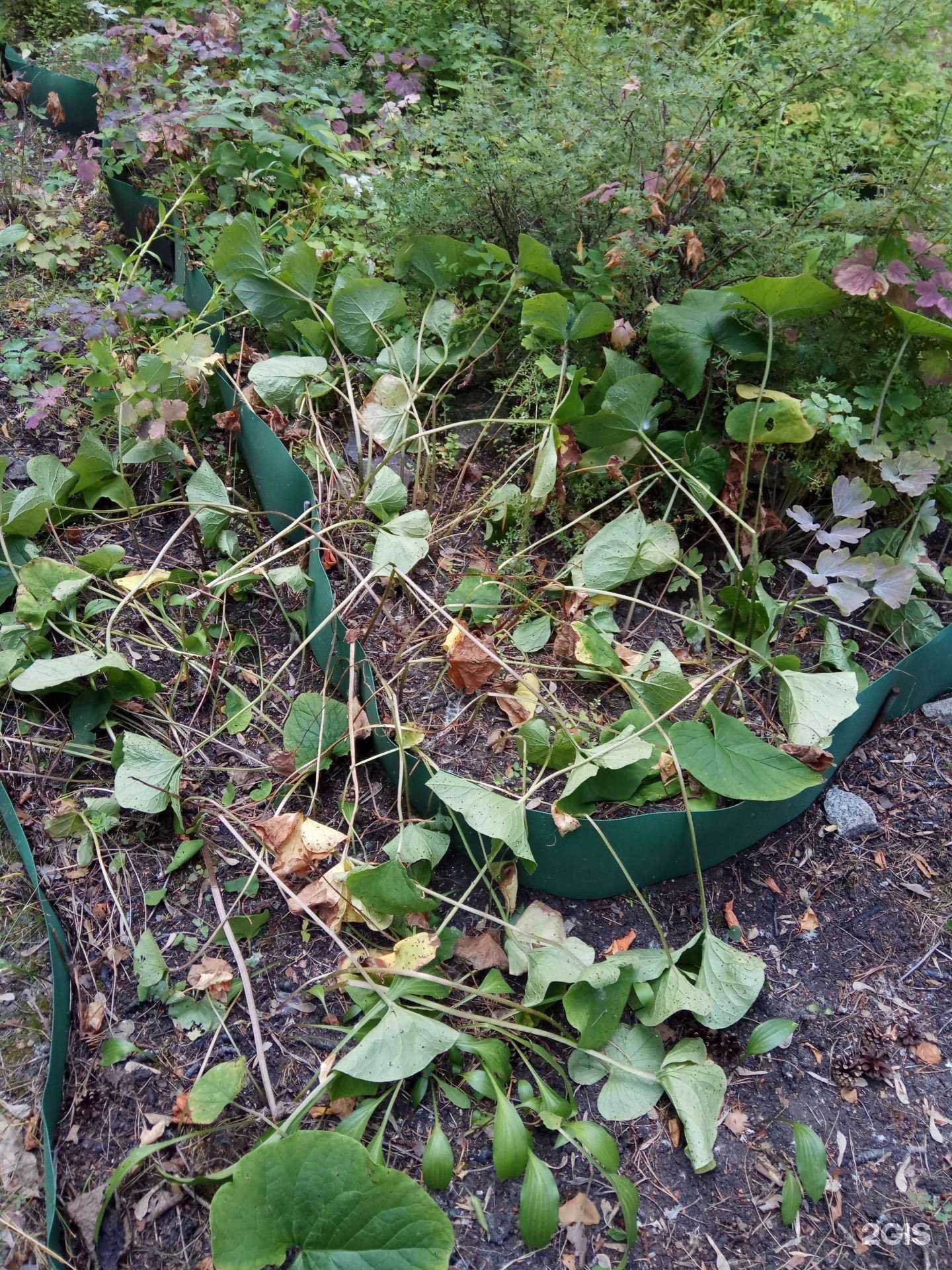 Отзывы на компанию Комплексный центр социального обслуживания населения г. Екатеринбург в г. Екатеринбург c фото