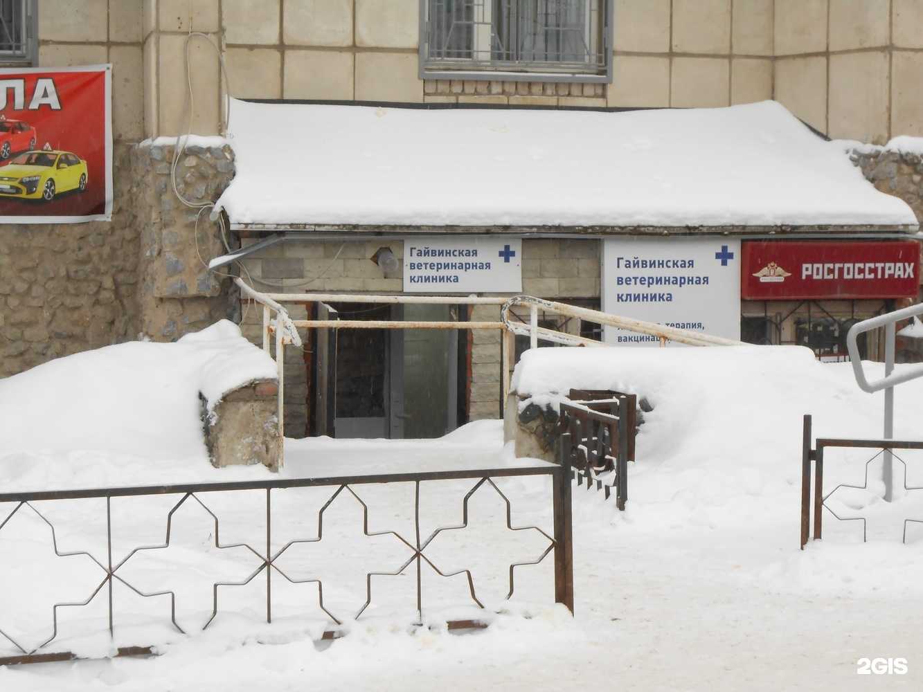 Отзывы на компанию Гайвинская ветеринарная клиника в г. Пермь c фото