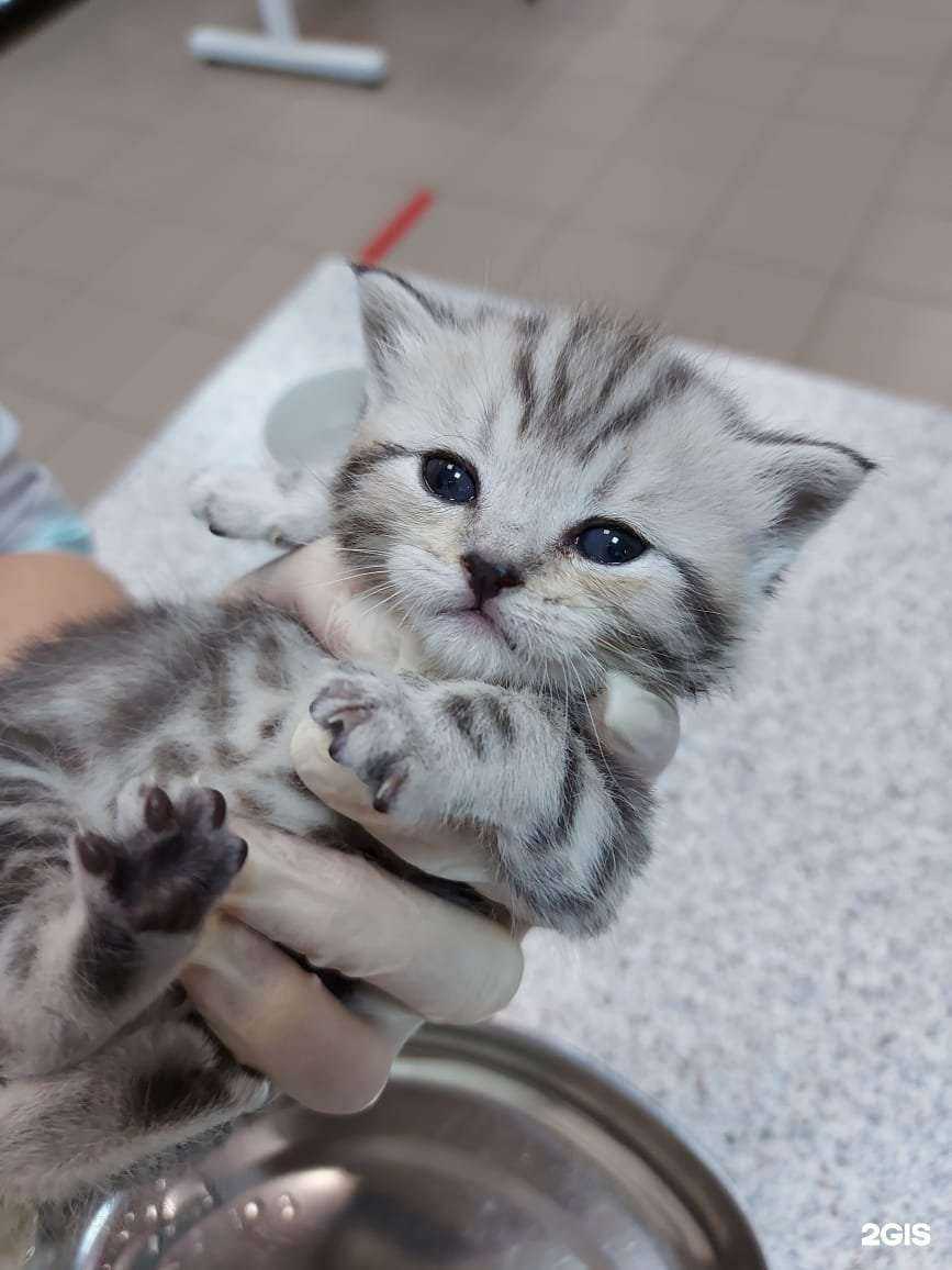 Отзывы на компанию Прайд в г. Ханты-Мансийск c фото