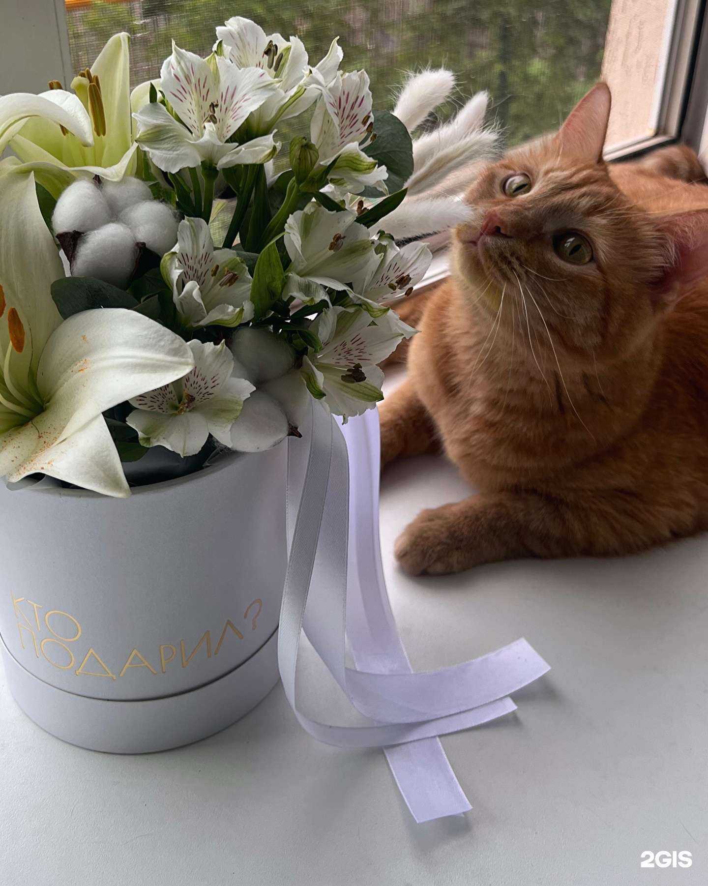 Отзывы на компанию кто подарил? в Самаре c фото