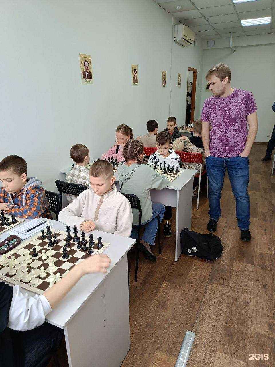 Отзывы на компанию Шахматная школа МГ Дмитрия Хегая  в г. Красноярск c фото