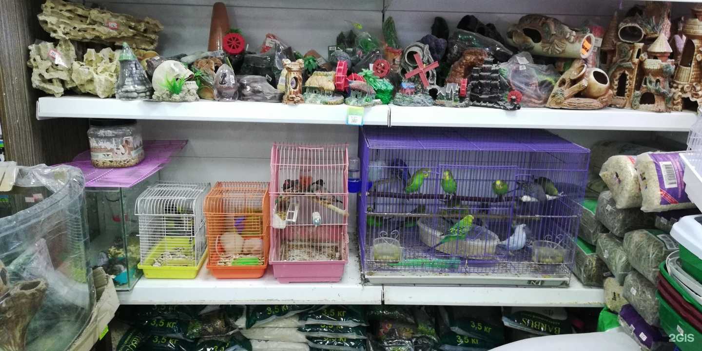 Отзывы на компанию ЗверьОк в Армавире c фото