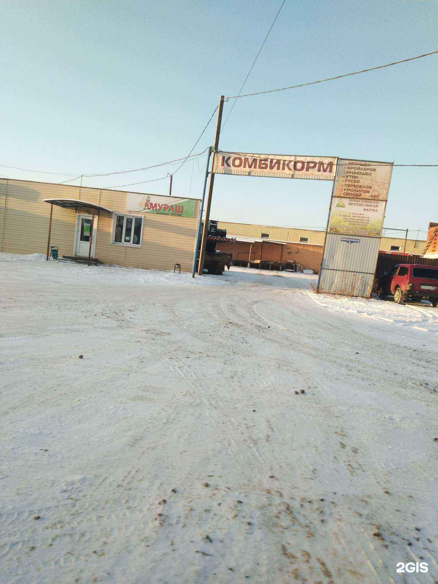 Отзывы на компанию Первая Тамбовская перепелиная ферма в Тамбове c фото