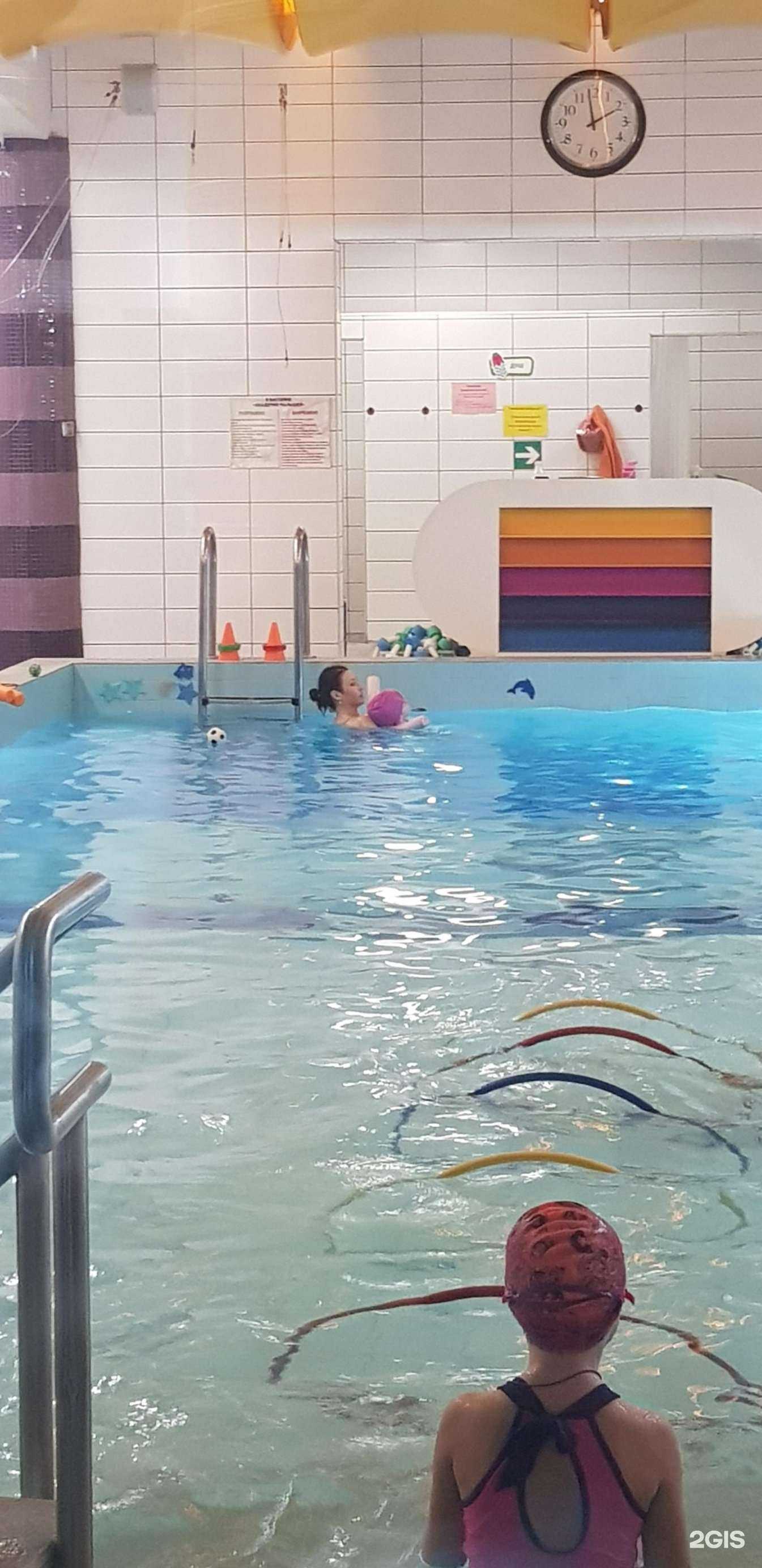 Отзывы на компанию Зенит-Чемпионика в г. Новокузнецк c фото