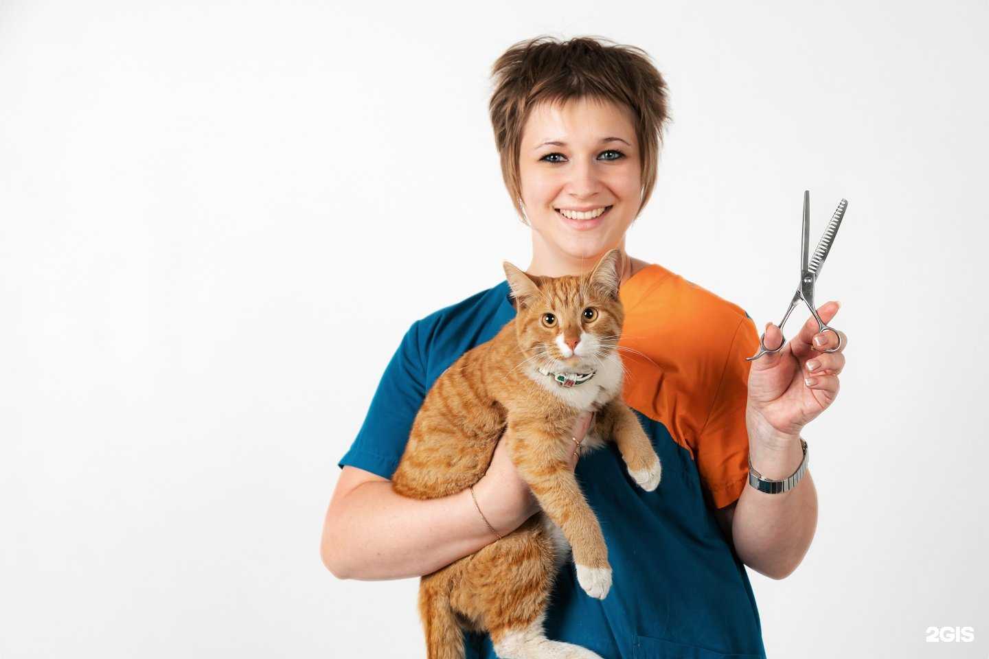 Отзывы на компанию Рыжебок в г. Оренбург c фото