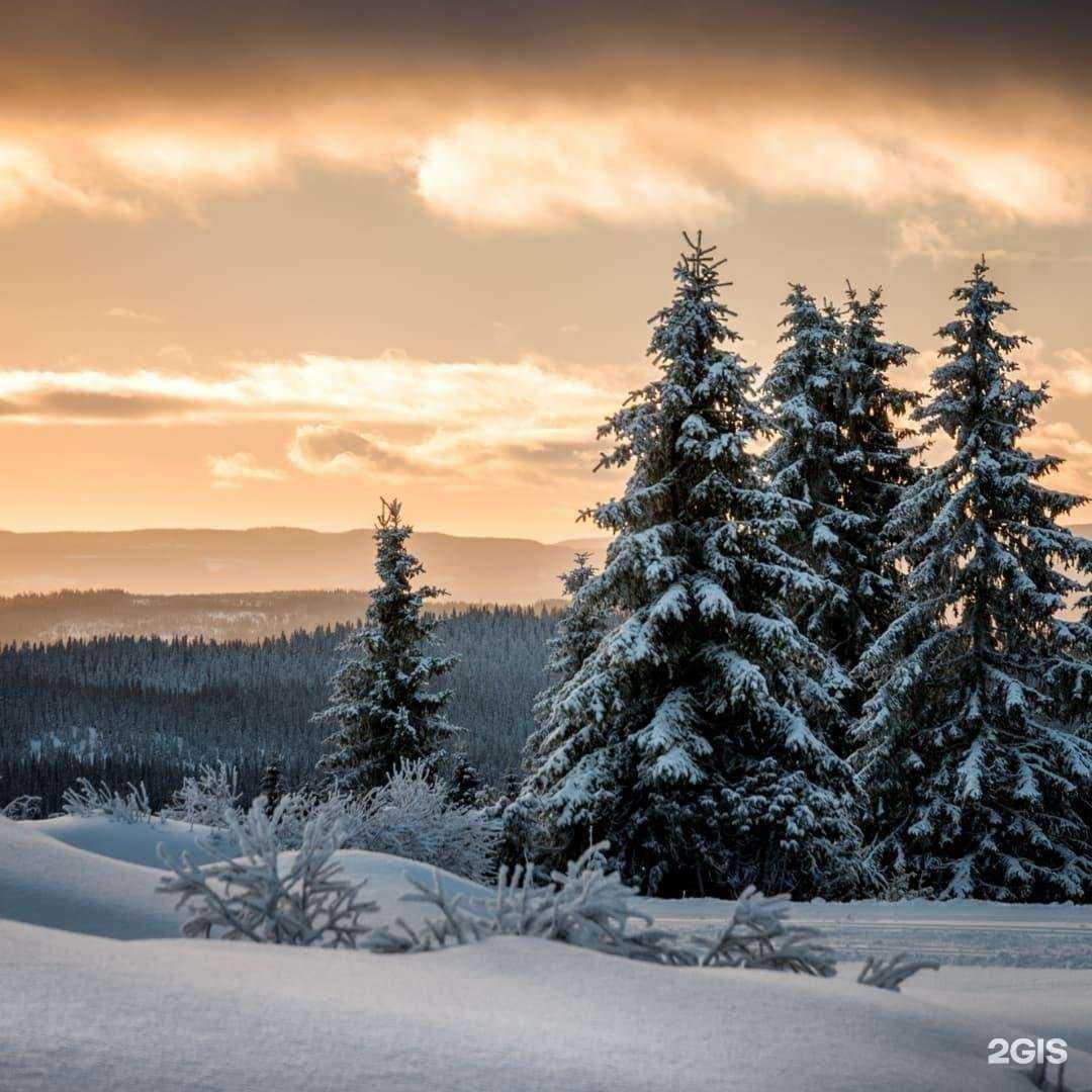 Отзывы на компанию Домашний текстиль в г. Сыктывкар c фото