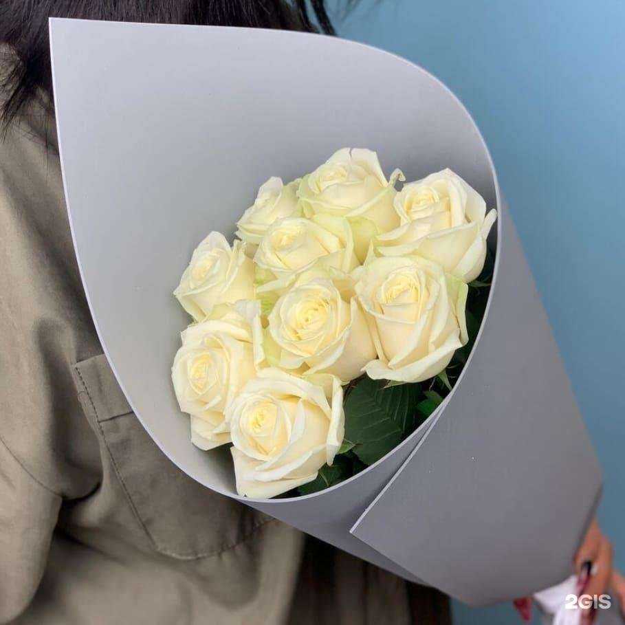 Отзывы на компанию Romashka в Краснодаре c фото