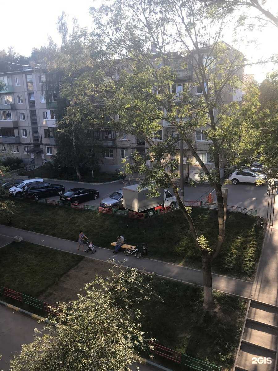 Отзывы на компанию Любимец в Туле c фото - фотография 2 из 2