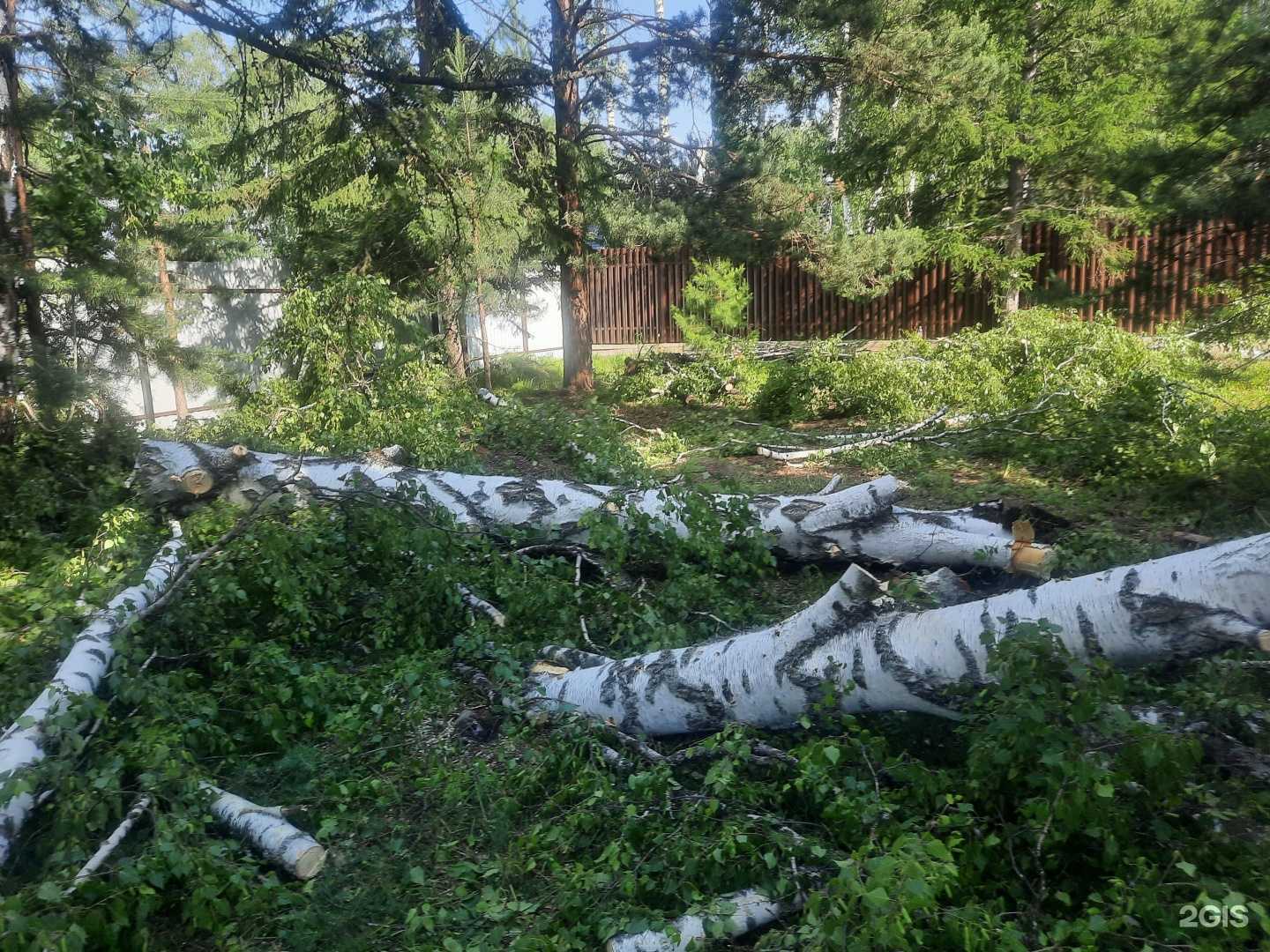 Отзывы на компанию Компания по благоустройству улиц и спилу деревьев в Красноярске c фото
