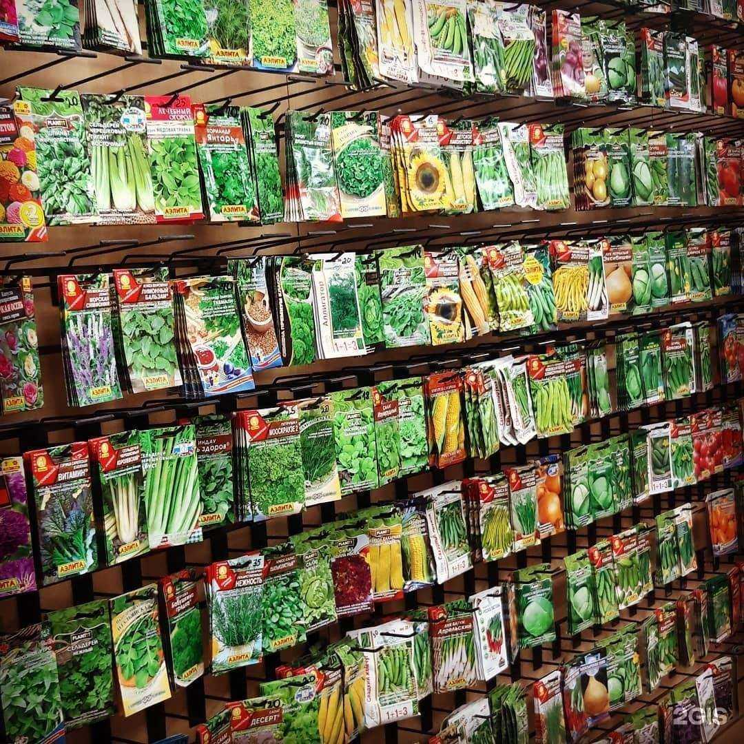 Отзывы на компанию Дом & дача в г. Альметьевск c фото