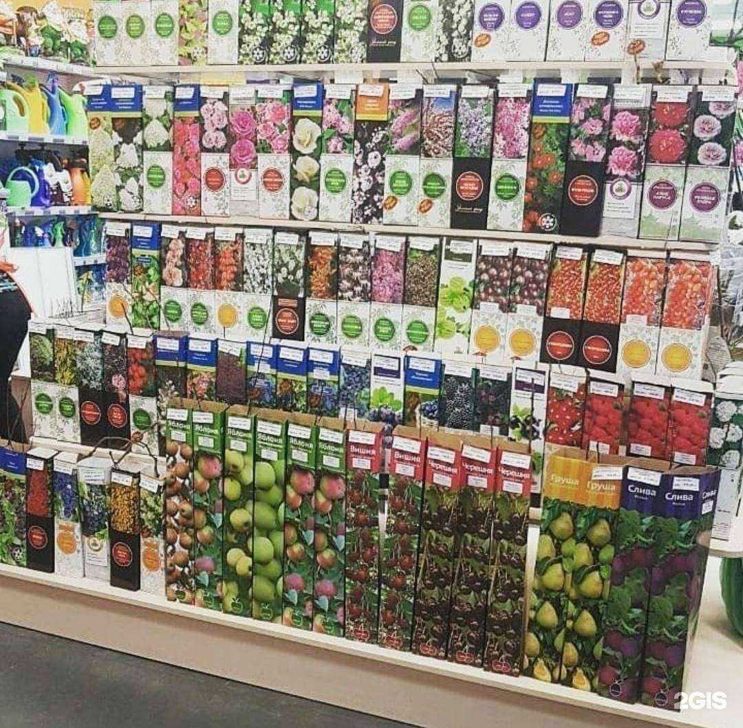 Отзывы на компанию Зелёный исток в Уссурийске c фото