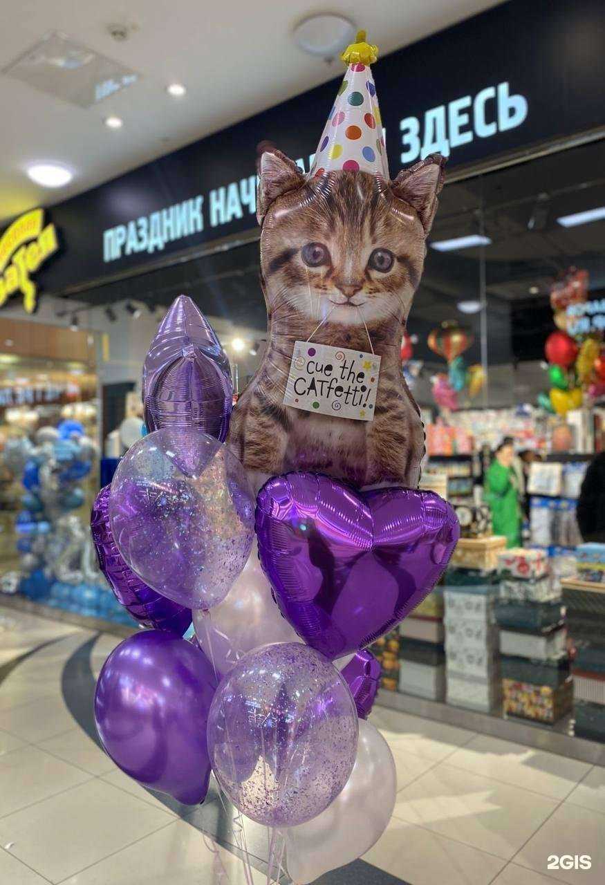 Отзывы на компанию Веселая затея в Краснодаре c фото