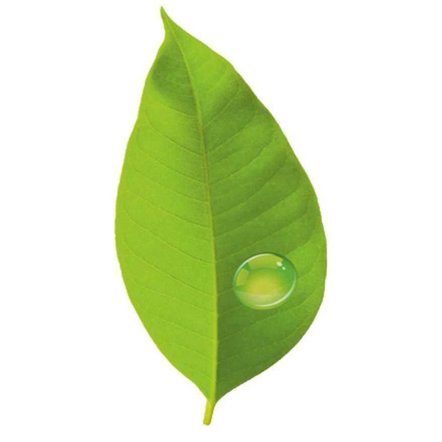 Отзывы на компанию kotel69 в г. Тверь c фото