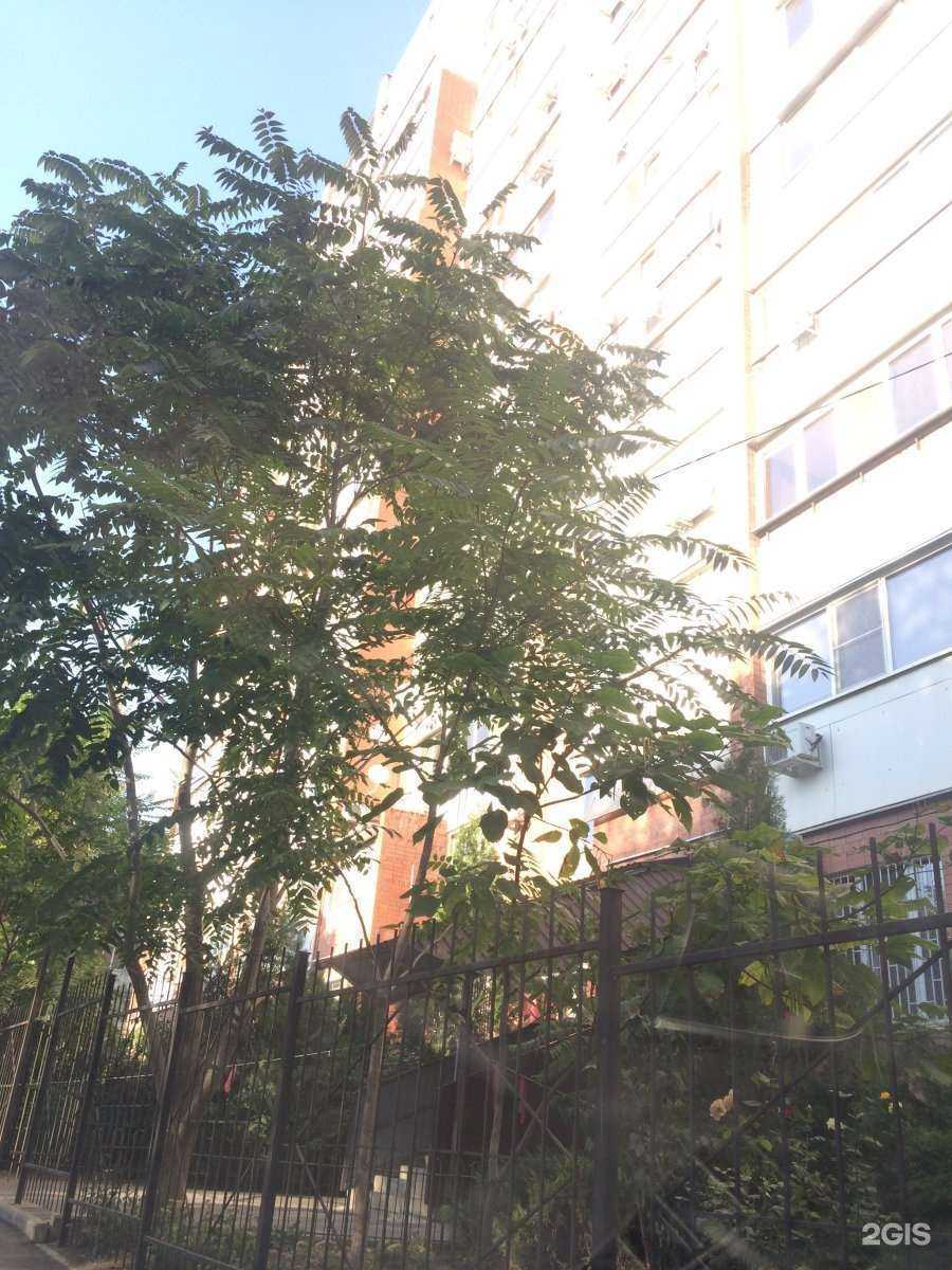 Отзывы на компанию Центр детского творчества Ворошиловского района в Ростове-на-Дону c фото - фотография 2 из 2