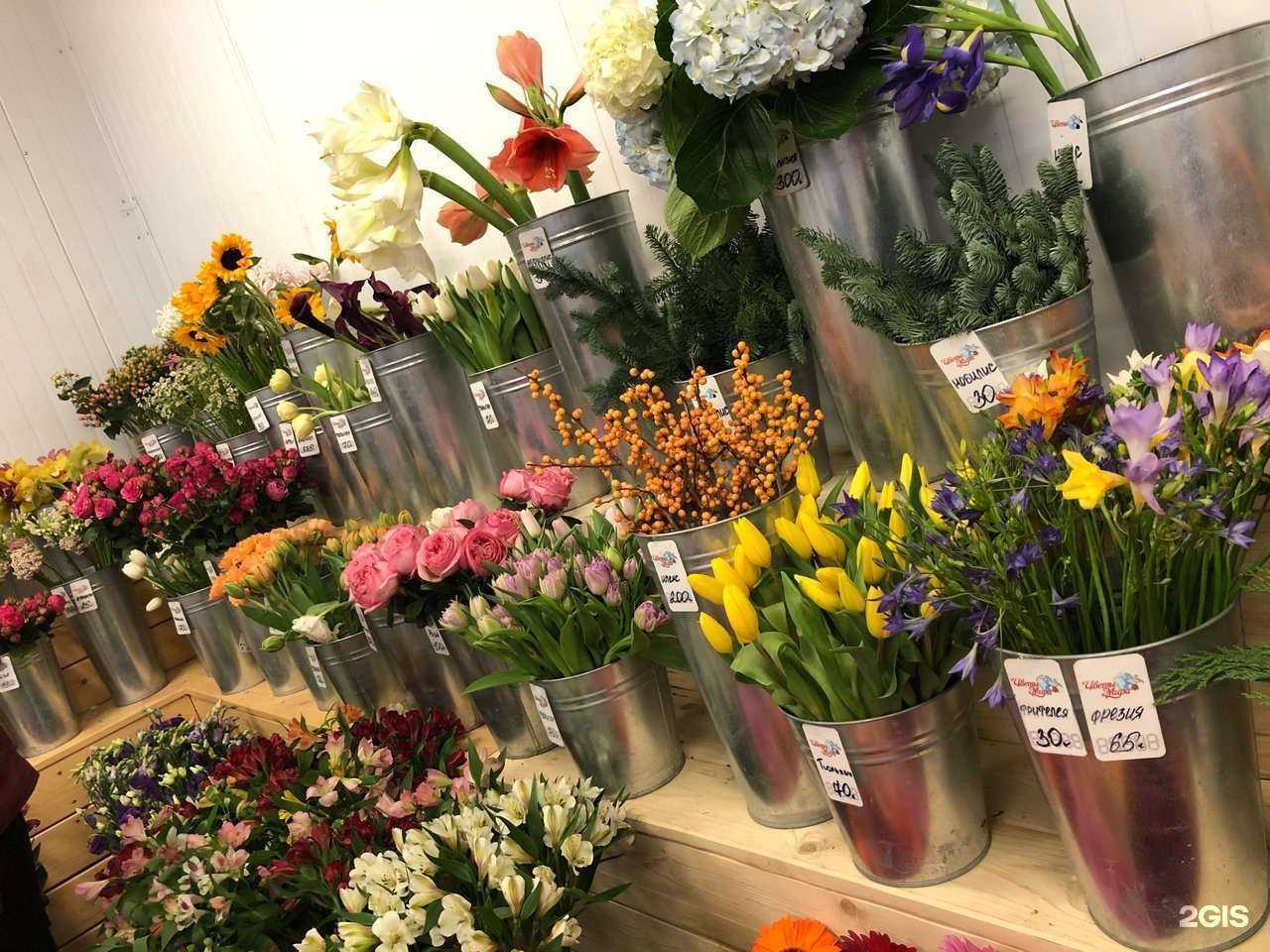 Отзывы на компанию Цветы Мира в Ижевске c фото