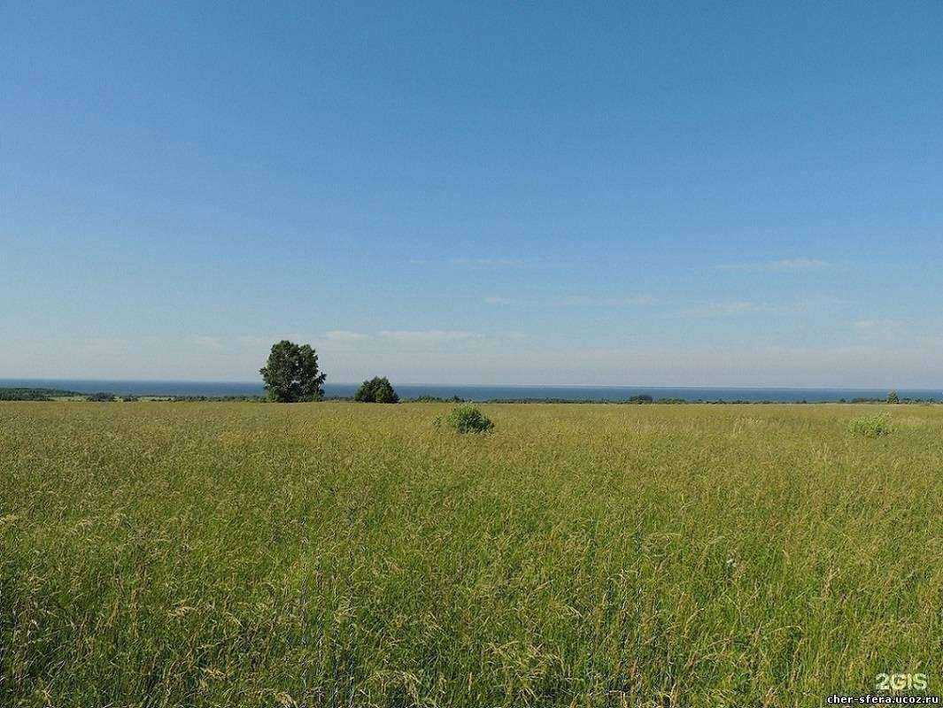 Отзывы на компанию Сфера в г. Череповец c фото