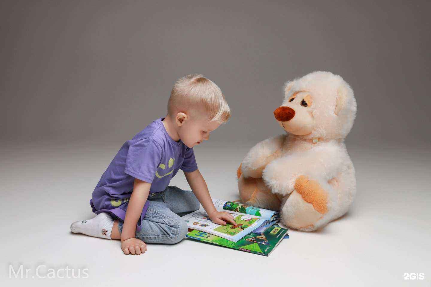 Отзывы на компанию Mr.Cactus в г. Сыктывкар c фото