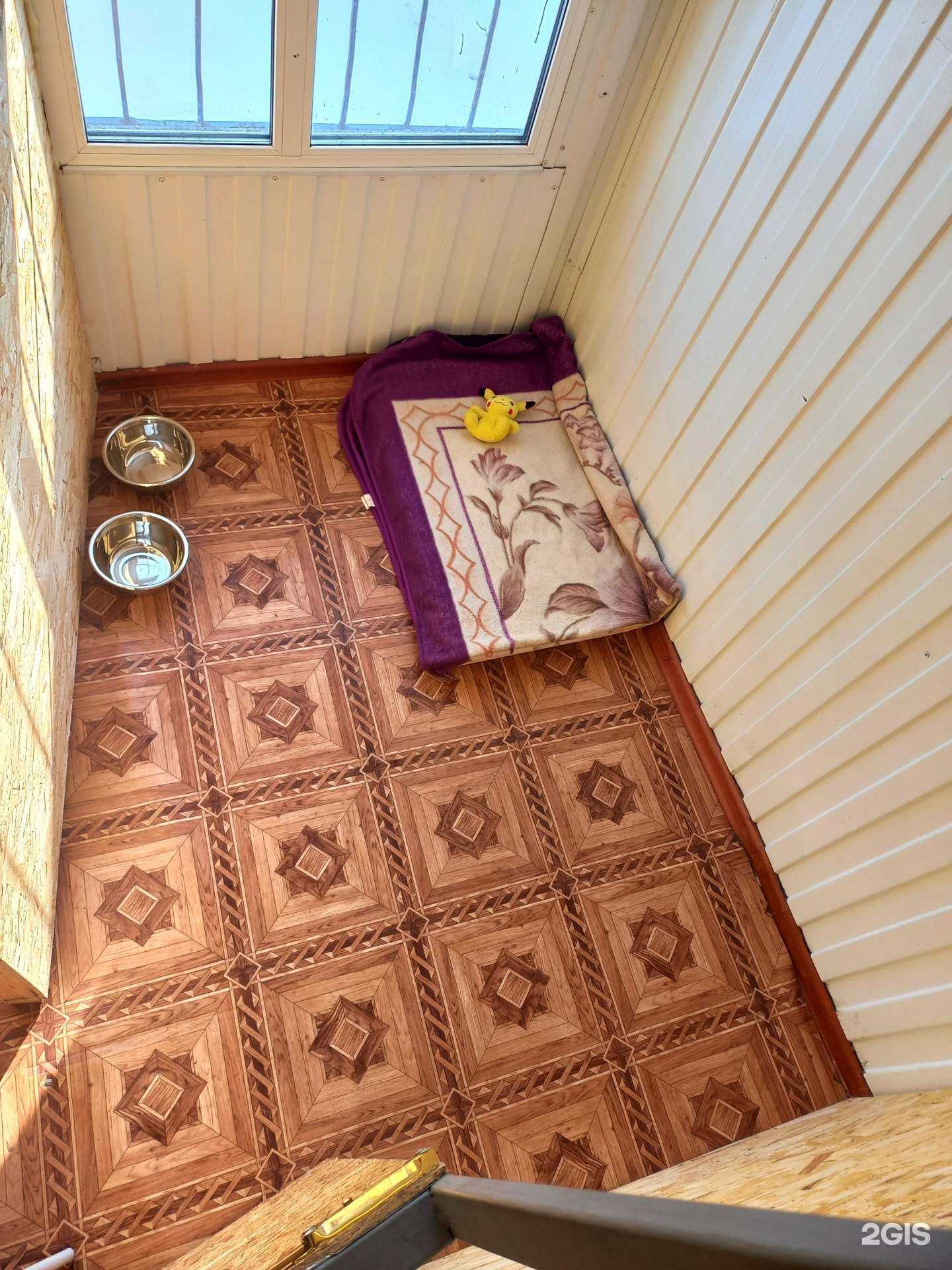 Отзывы на компанию Зоотуса в г. Омск c фото