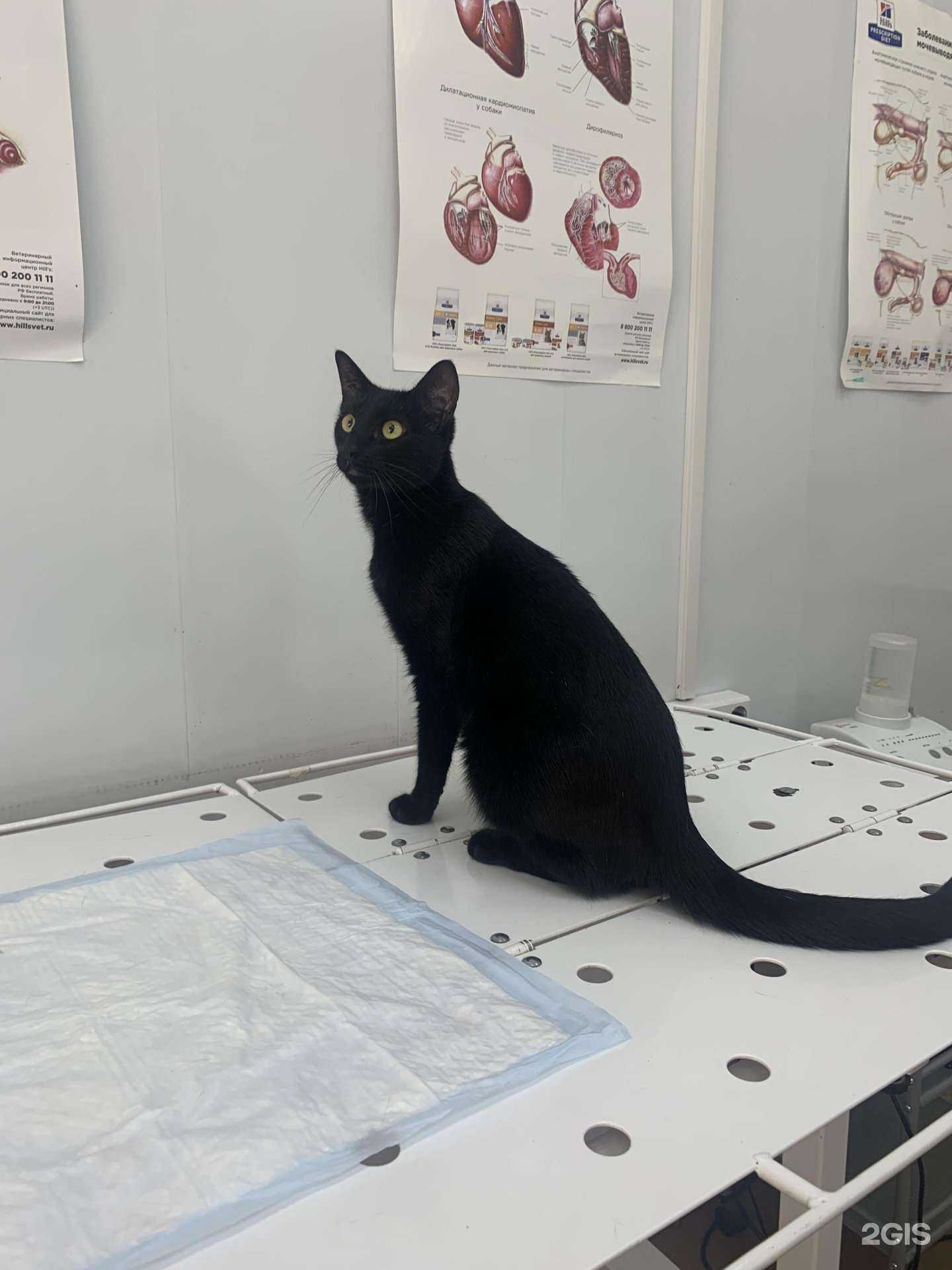 Отзывы на компанию ToriBech в Всеволожске c фото