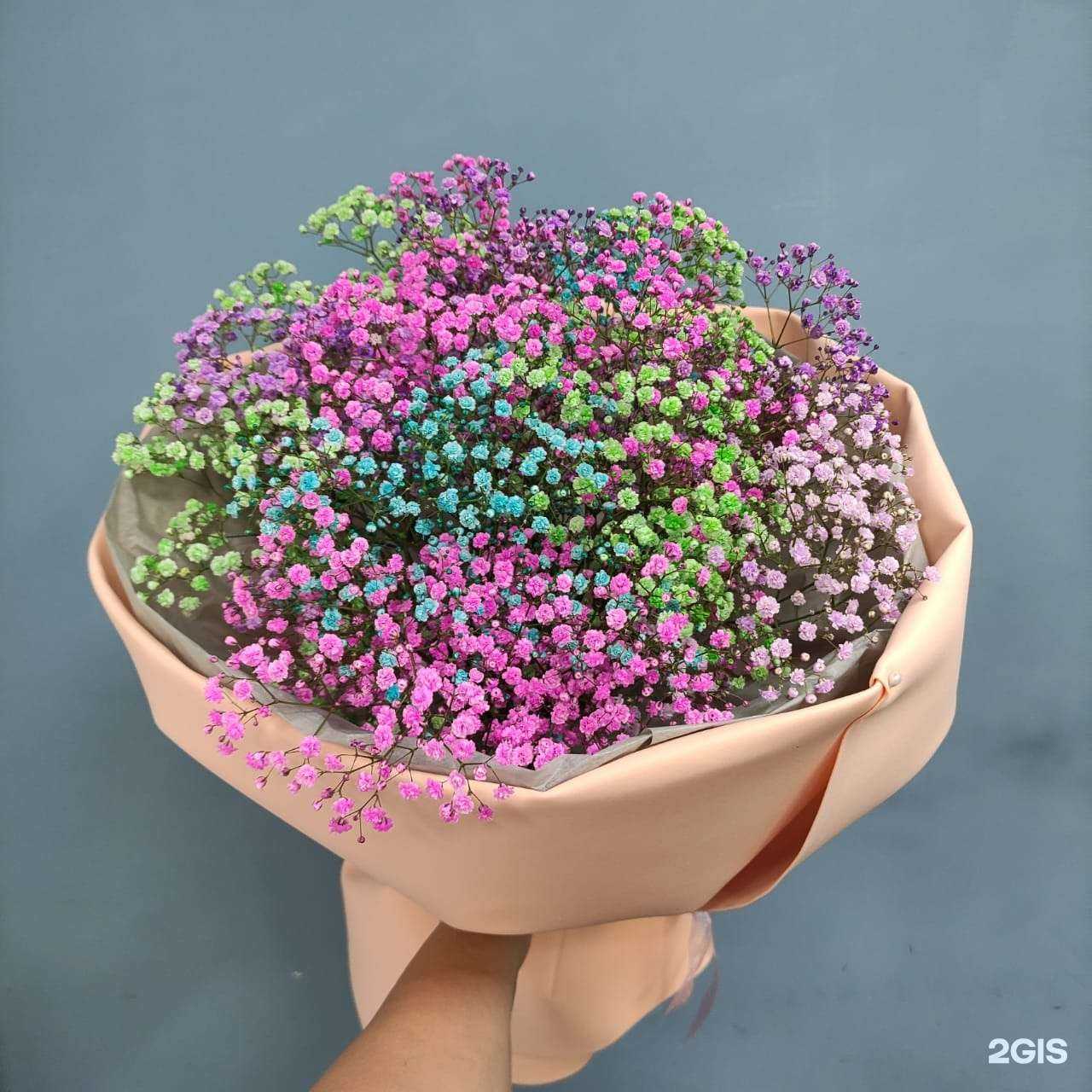 Отзывы на компанию Фелиция в г. Ростов-на-Дону c фото