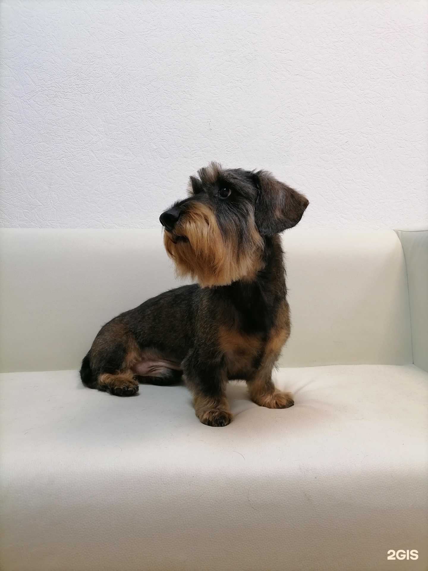 Отзывы на компанию Rafa Style в г. Чебоксары c фото