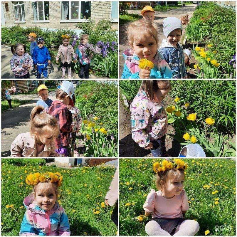 Отзывы на компанию Детский сад №58 в Новомосковске c фото