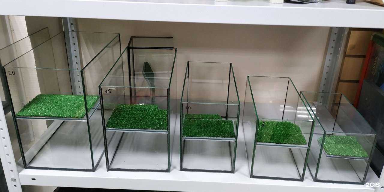 Отзывы на компанию Аквариумист в г. Уфа c фото