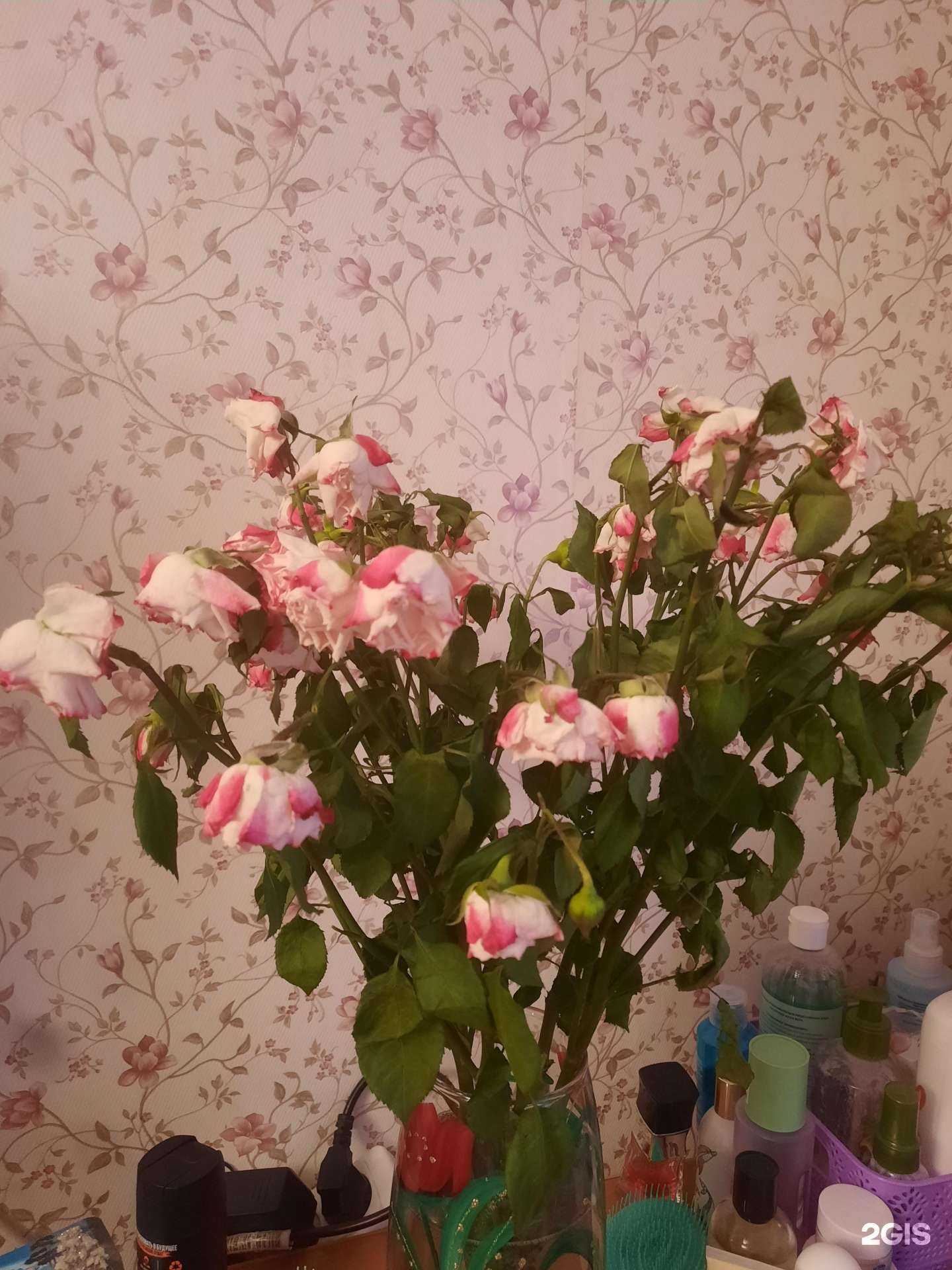 Отзывы на компанию Крафт в Великом Новгороде c фото