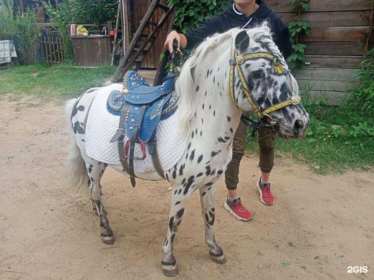 Отзывы на компанию Фаворит в Улан-Удэ c фото