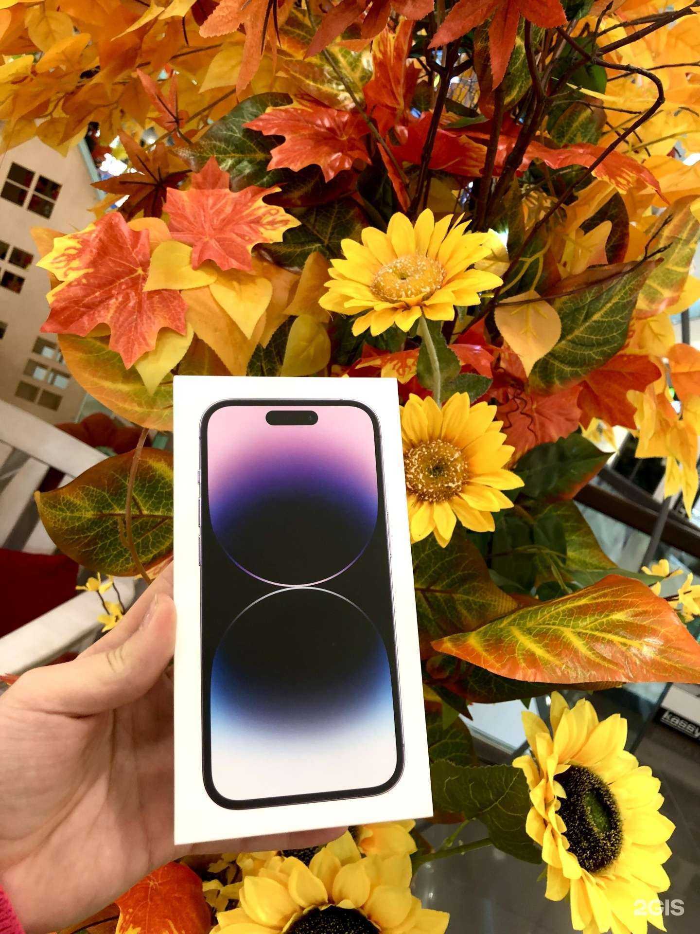 Отзывы на компанию МТС в Новосибирске c фото