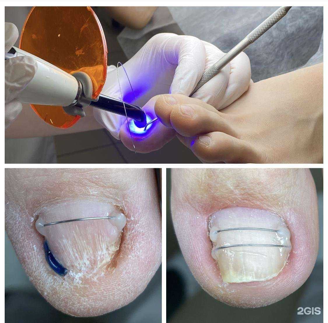 Отзывы на компанию Claws в Иркутске c фото