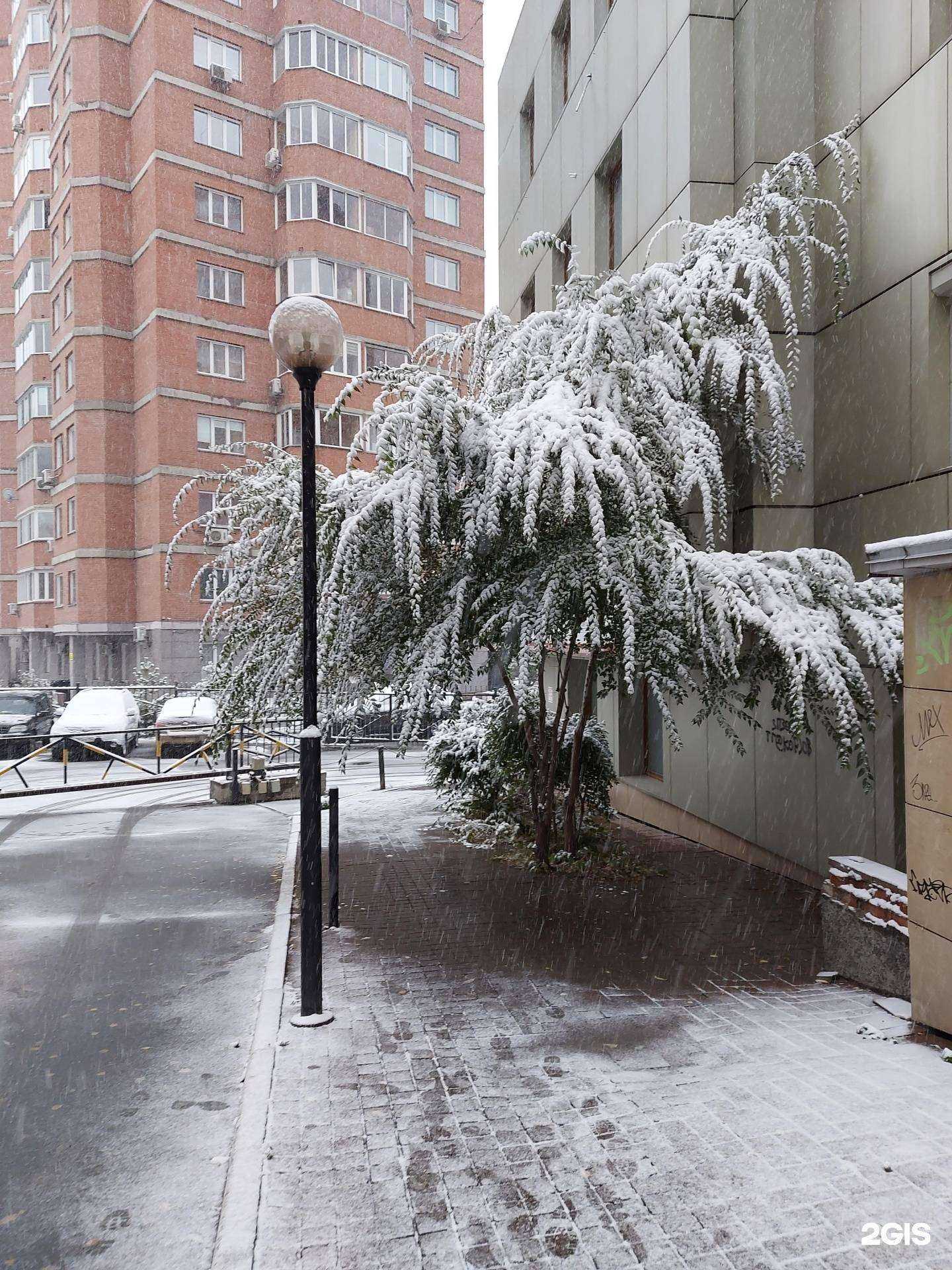 Отзывы на компанию Ферруммакс в Новосибирске c фото - фотография 2 из 2