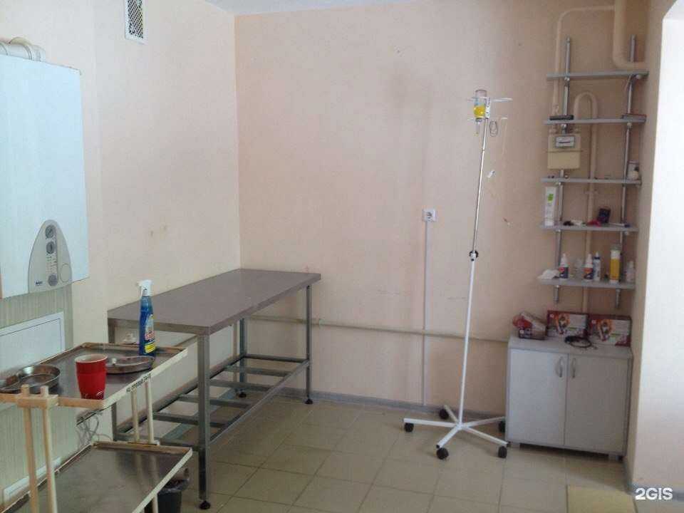 Отзывы на компанию Фауна в Смоленске c фото