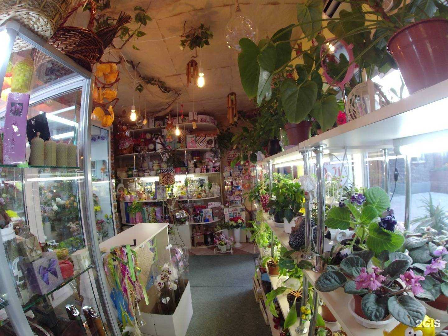 Отзывы на компанию Laxmi в г. Калининград c фото