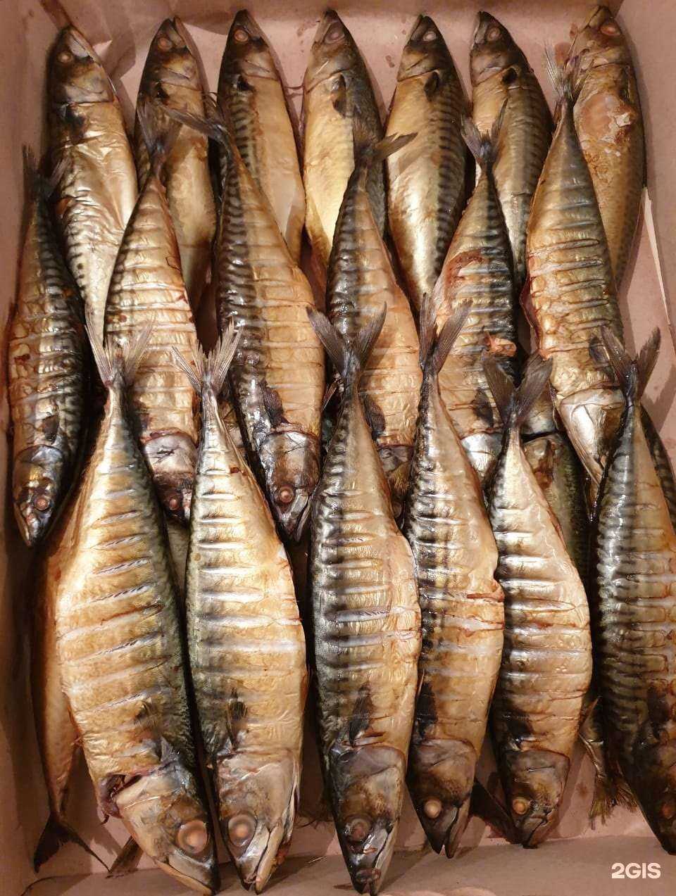 Отзывы на компанию Привоз в Ноябрьске c фото