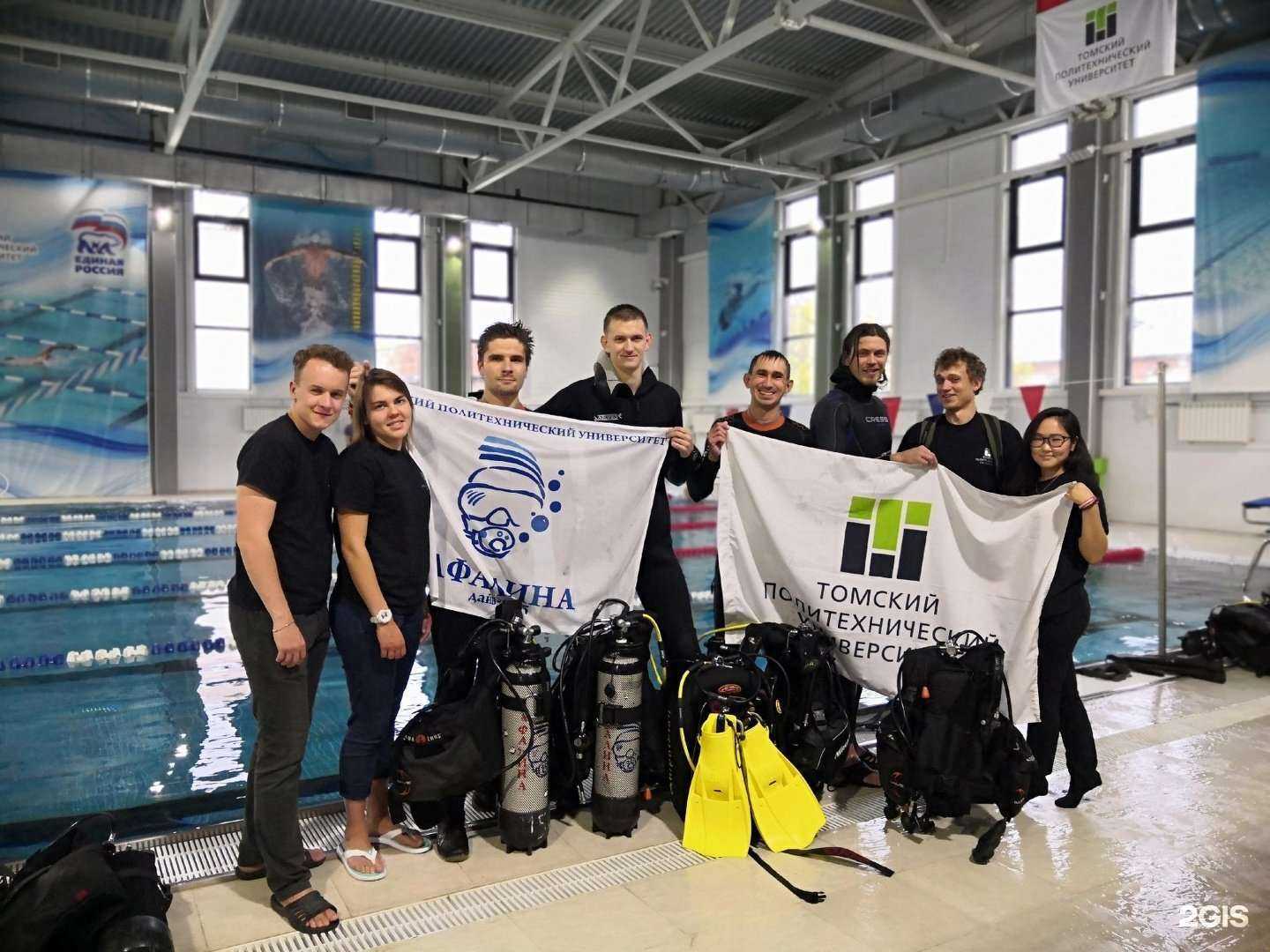 Отзывы на компанию Афалина в Томске c фото