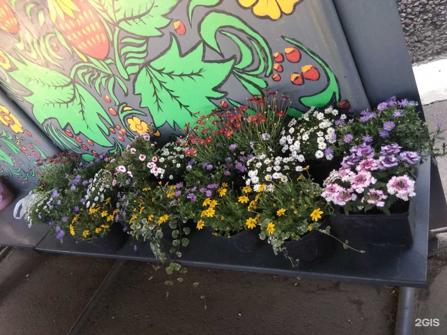 Отзывы на компанию Модный базарчик в г. Бийск c фото