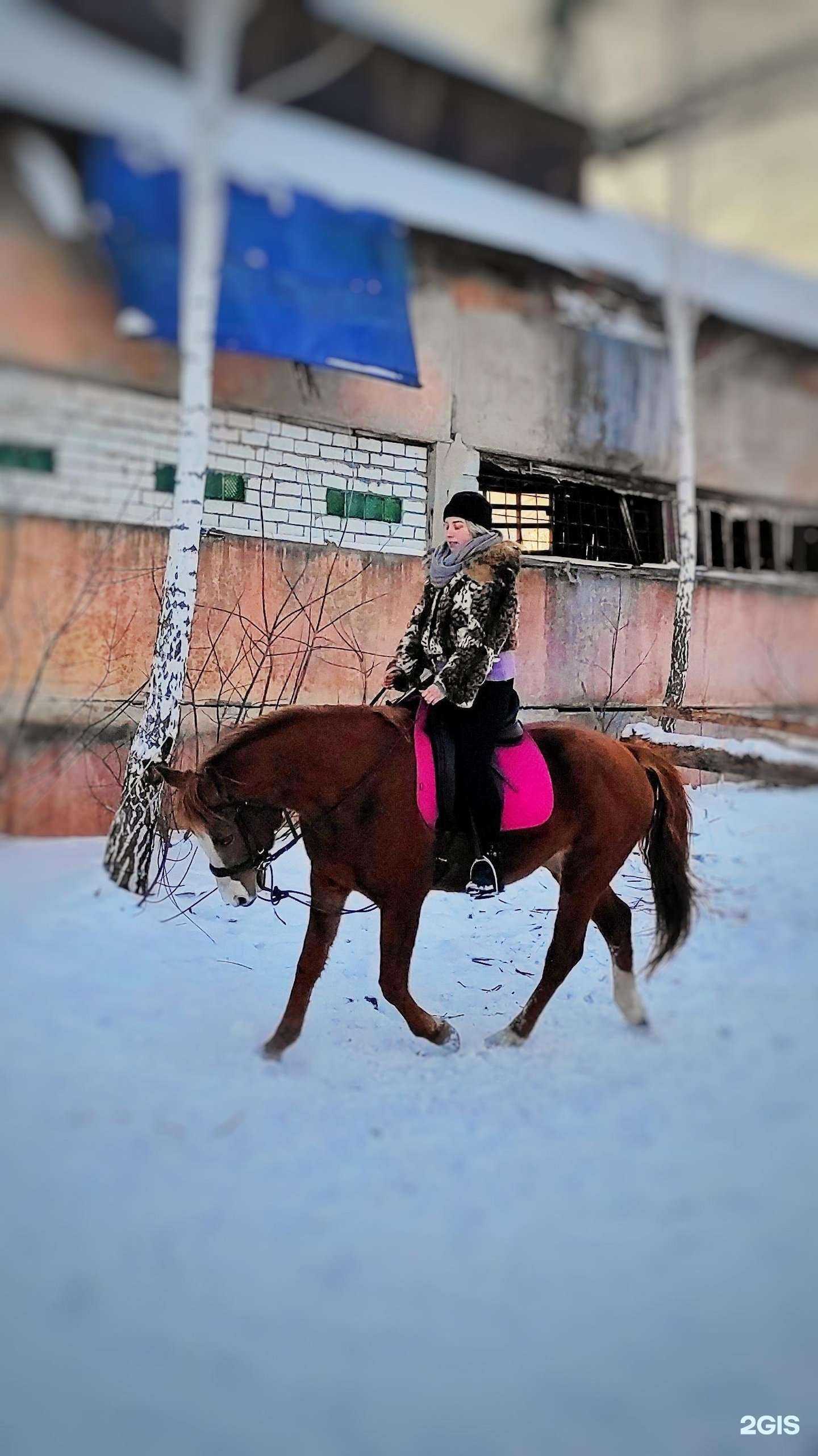 Отзывы на компанию Форсайд в Тюмени c фото