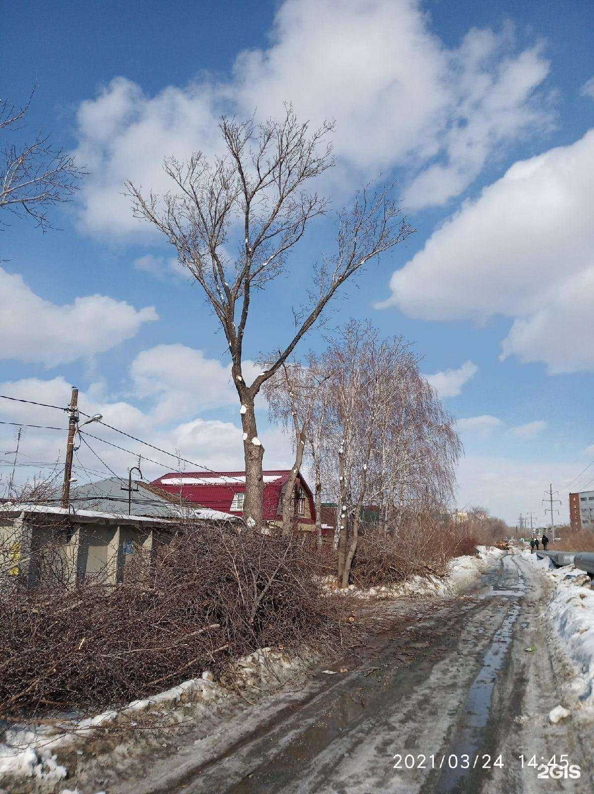 Отзывы на компанию Компания по демонтажу зданий и спилу деревьев в г. Челябинск c фото