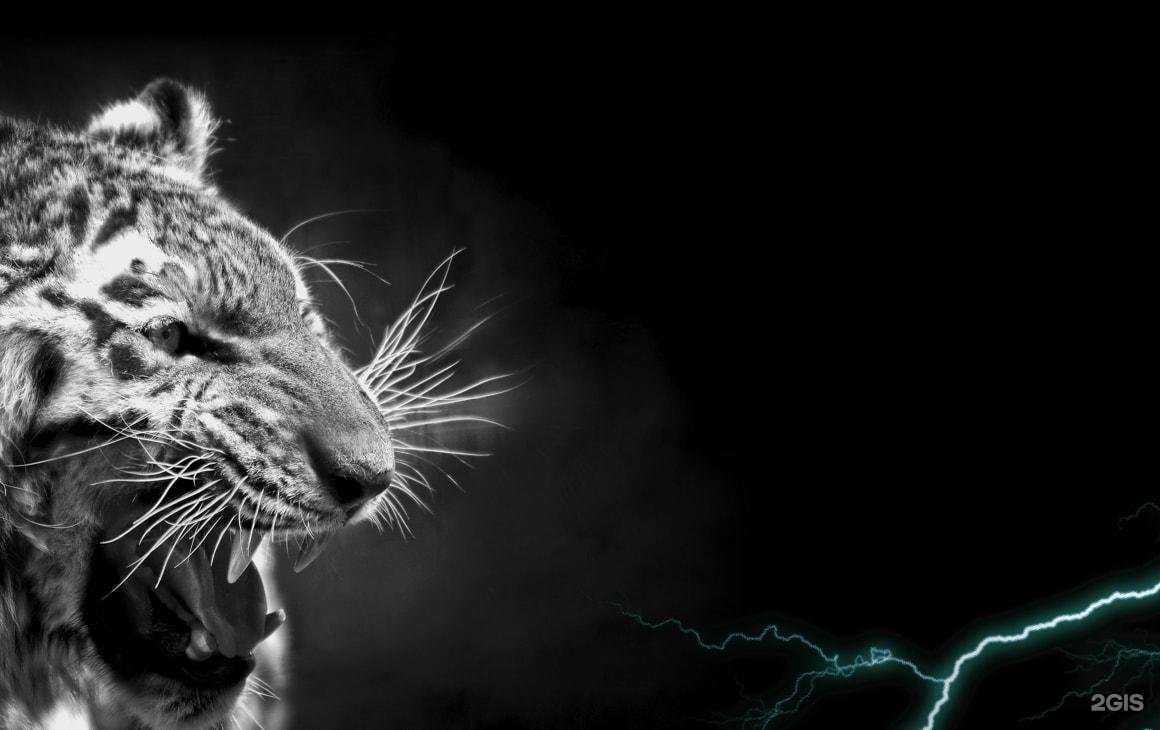 Отзывы на компанию Modo Gym в г. Киров c фото