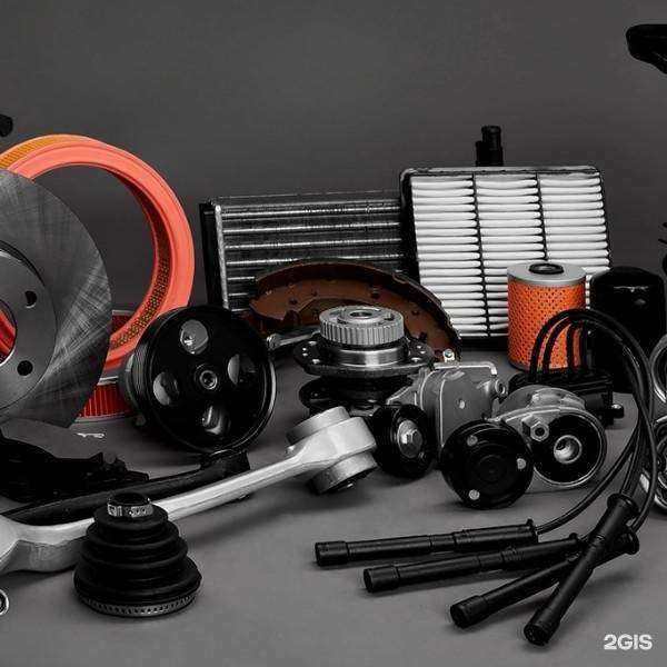 Отзывы на компанию Лис в Новосибирске c фото