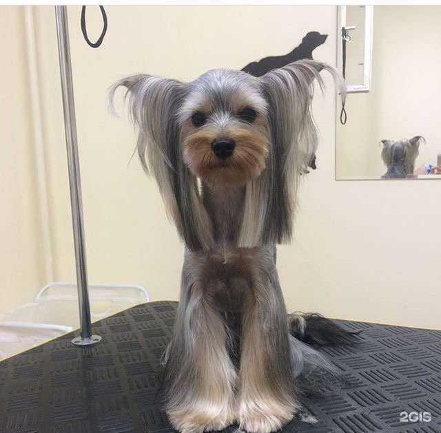 Отзывы на компанию Лападель в г. Краснодар c фото