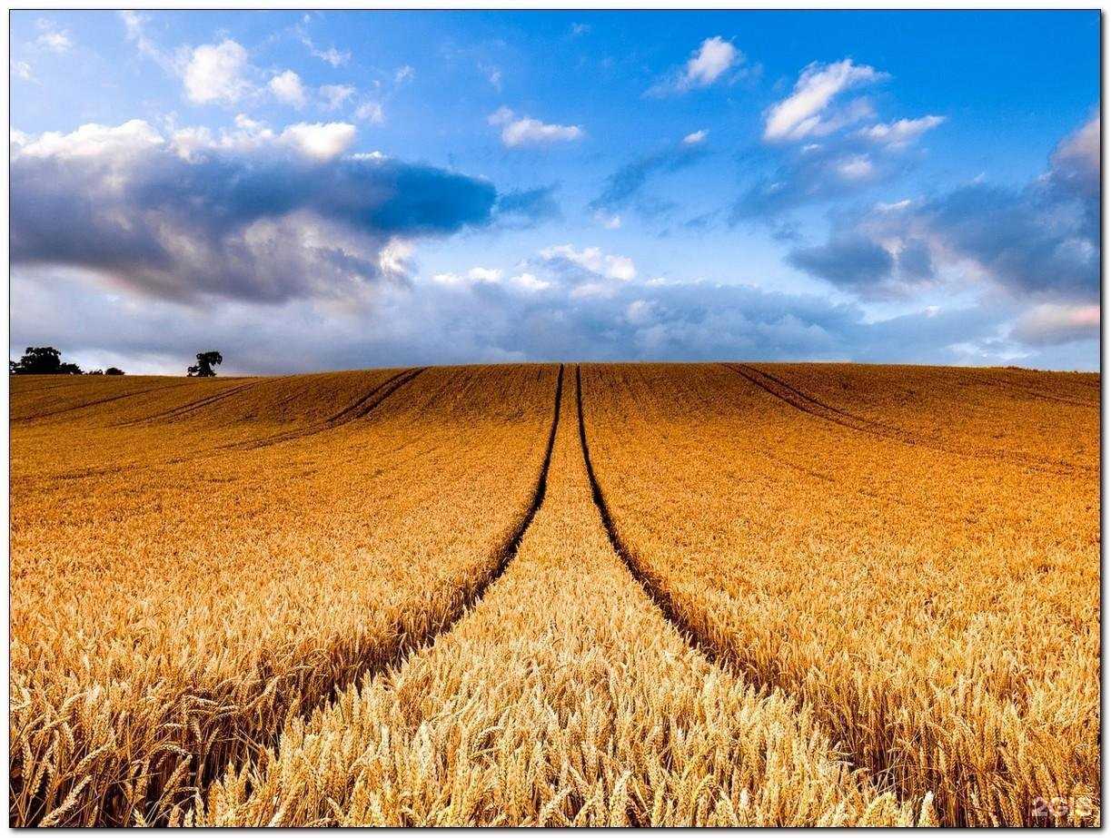Отзывы на компанию ДВС в Нижнем Новгороде c фото