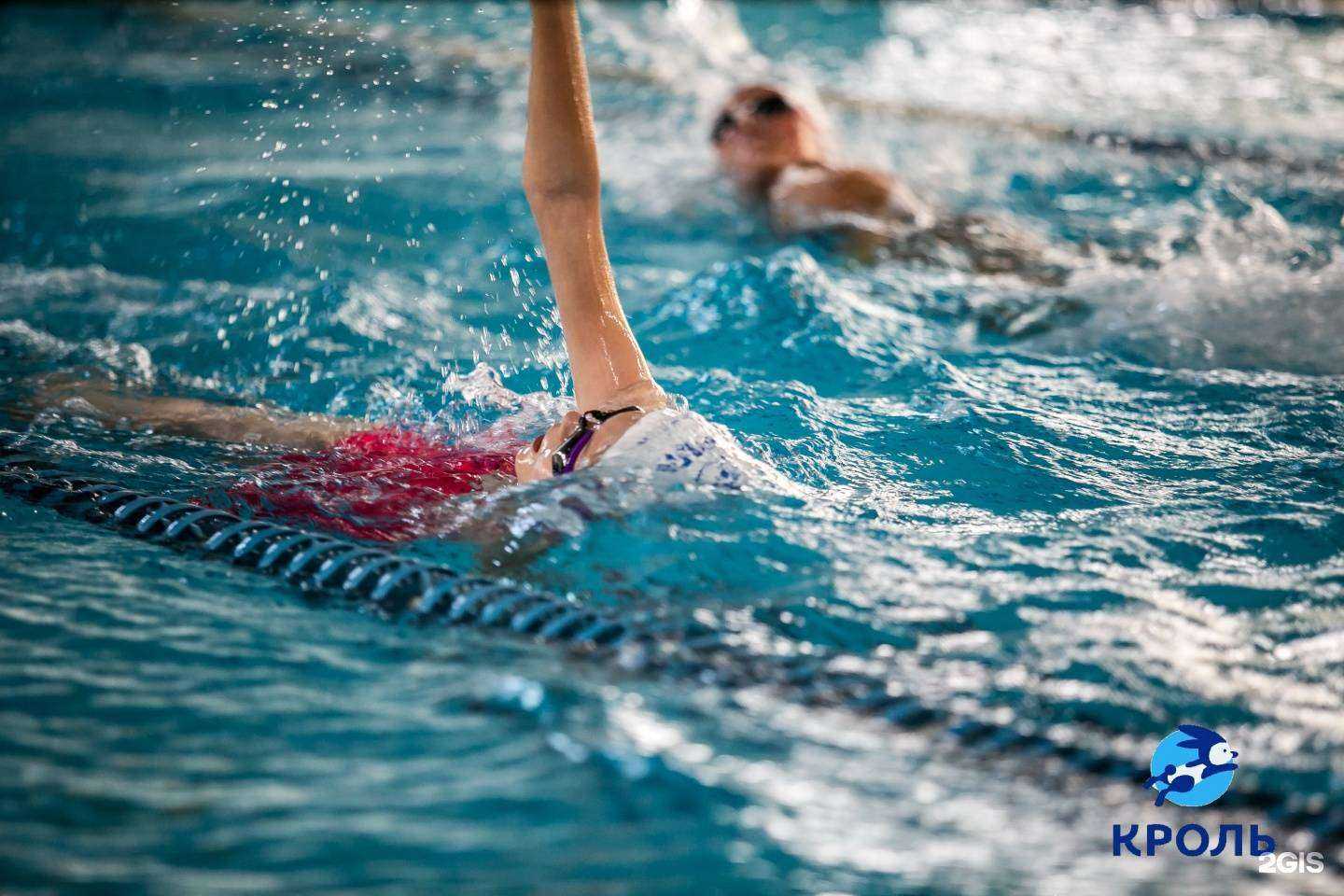 Отзывы на компанию Кроль в г. Омск c фото